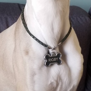 Leather ID Collar - Dog House Collar