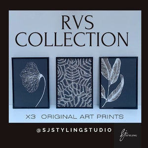 SET OF 3 RVS Collection Art Prints