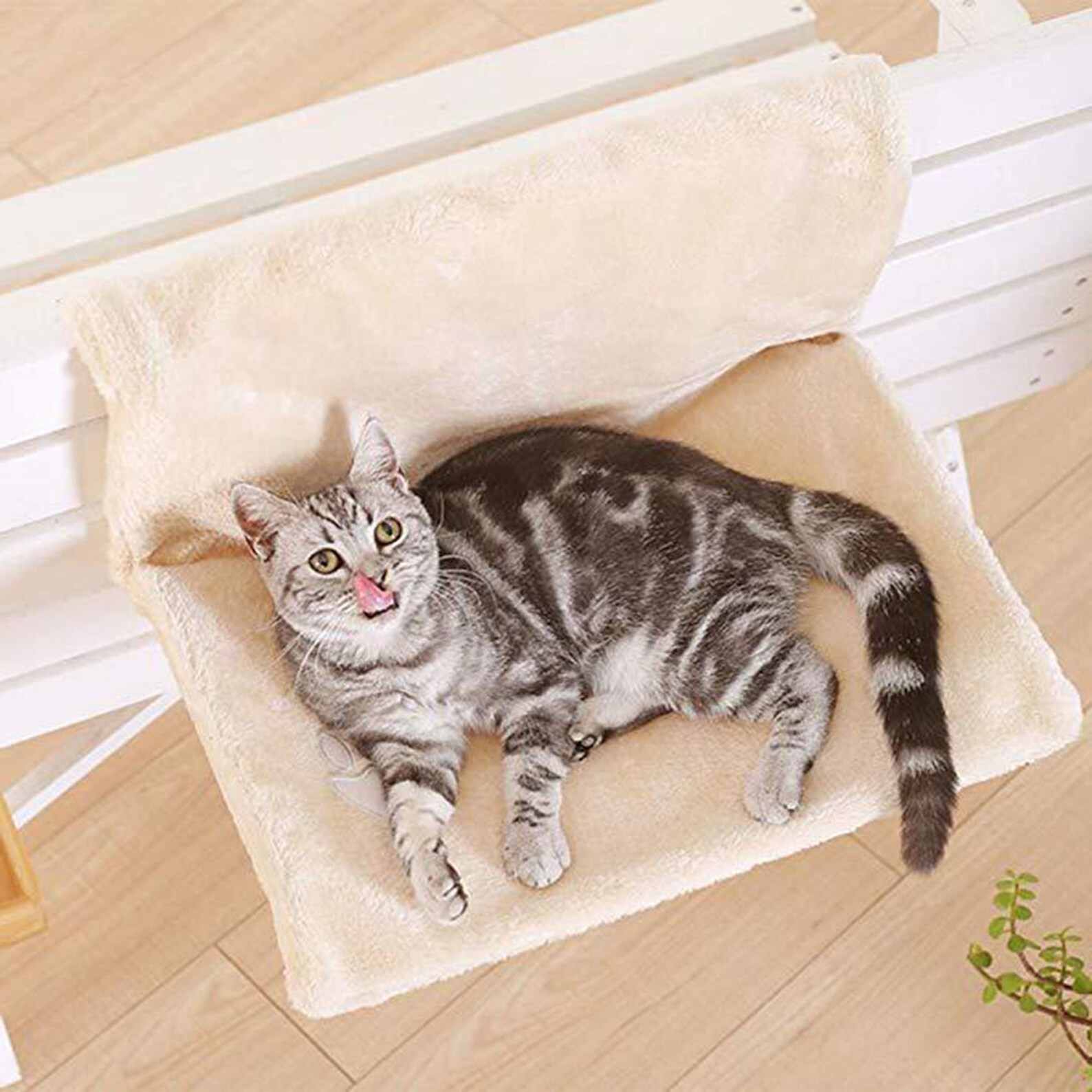 Gray Cat Hammock Bed Cute Cat Cushion Bed Indoor Cat Etsy