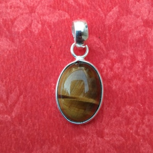 Tijgerooghanger Tijgerketting 925 sterlingzilveren hanger Handgemaakte hangerooghanger Kersthanger Authentieke hanger cadeau voor vrouwen