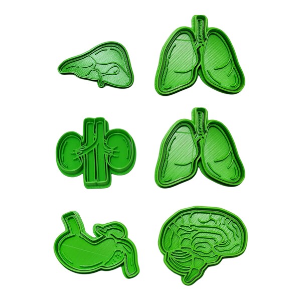 3d printer organ brain, Liver, Lung, Renal, Stomach Cookie Cutter