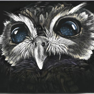 THE BLIND OWL art print scratchboard watercolor owl black and white animal