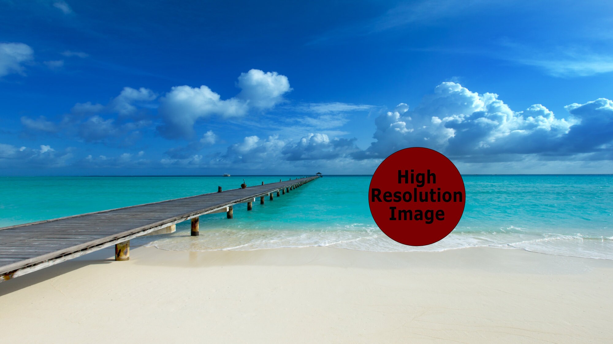 realistic zoom virtual background beach house