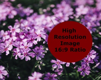 Lilac Flower Zoom Background, Virtual Background for Zoom, Microsoft Teams, Google Meet, Skype, Backdrop for Virtual Meeting