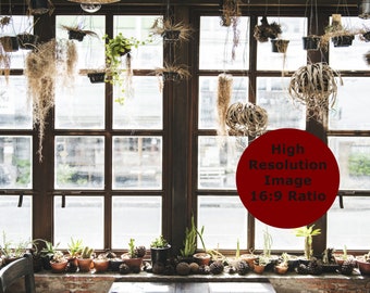 Wide Window Zoom Backgrounds, Virtual Background for Zoom, Microsoft Teams, Skype, Google Meet, Window Backdrop