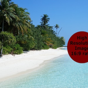 May include: A tropical beach scene with white sand, clear blue water, and lush green palm trees. The beach is bordered by a line of trees and bushes. The water is shallow and clear, with a few small waves.