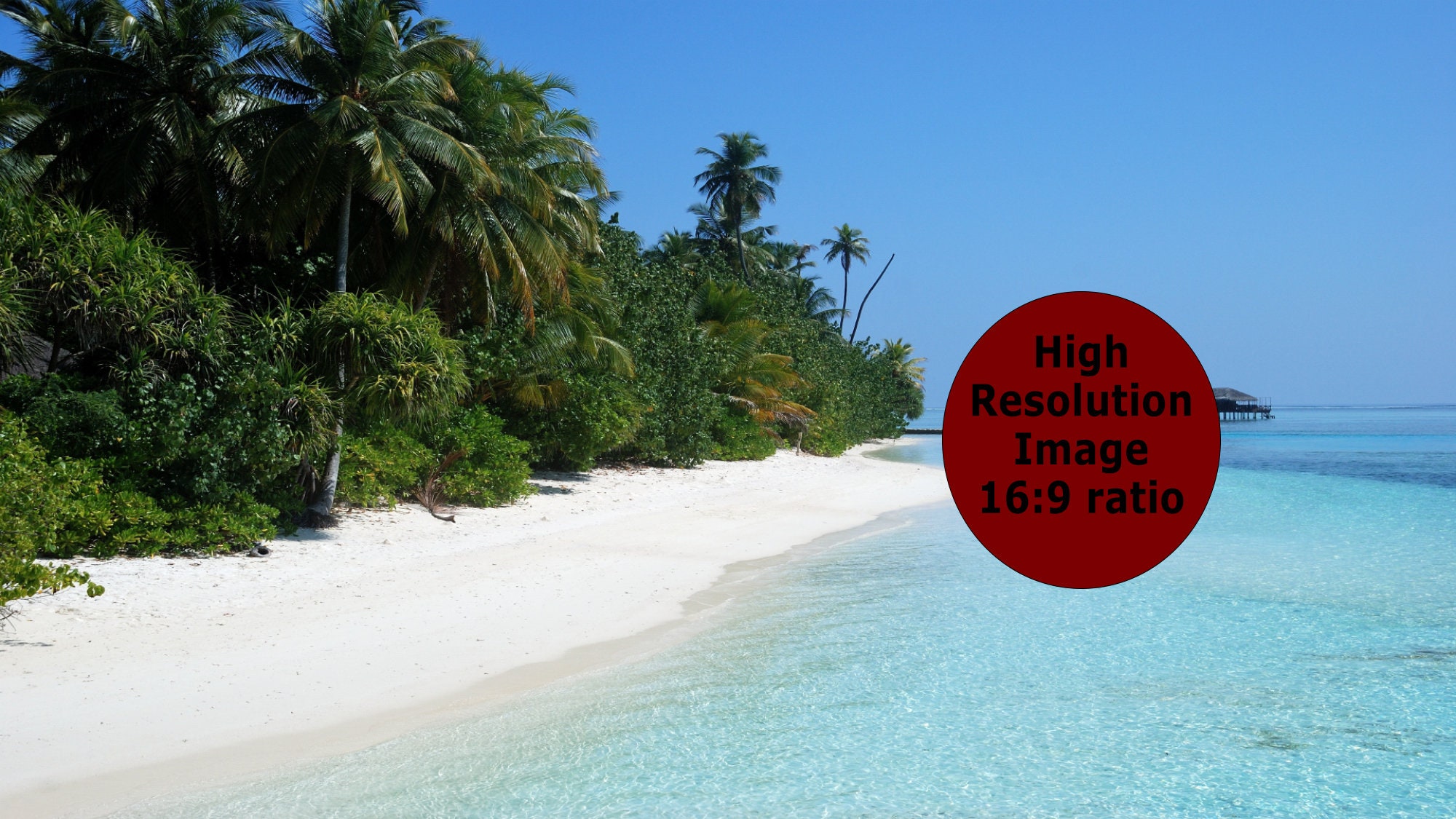 Beach Virtual Background For Zoom Microsoft Teams Skype Etsy Beach Virtual Background For Zoom Microsoft Teams Skype Etsy