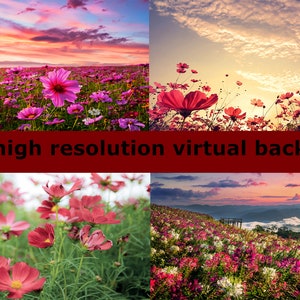 Set of 4 Beautiful Flower Field Zoom Background, Virtual Background for Zoom, Microsoft Teams, Google Meet, Skype