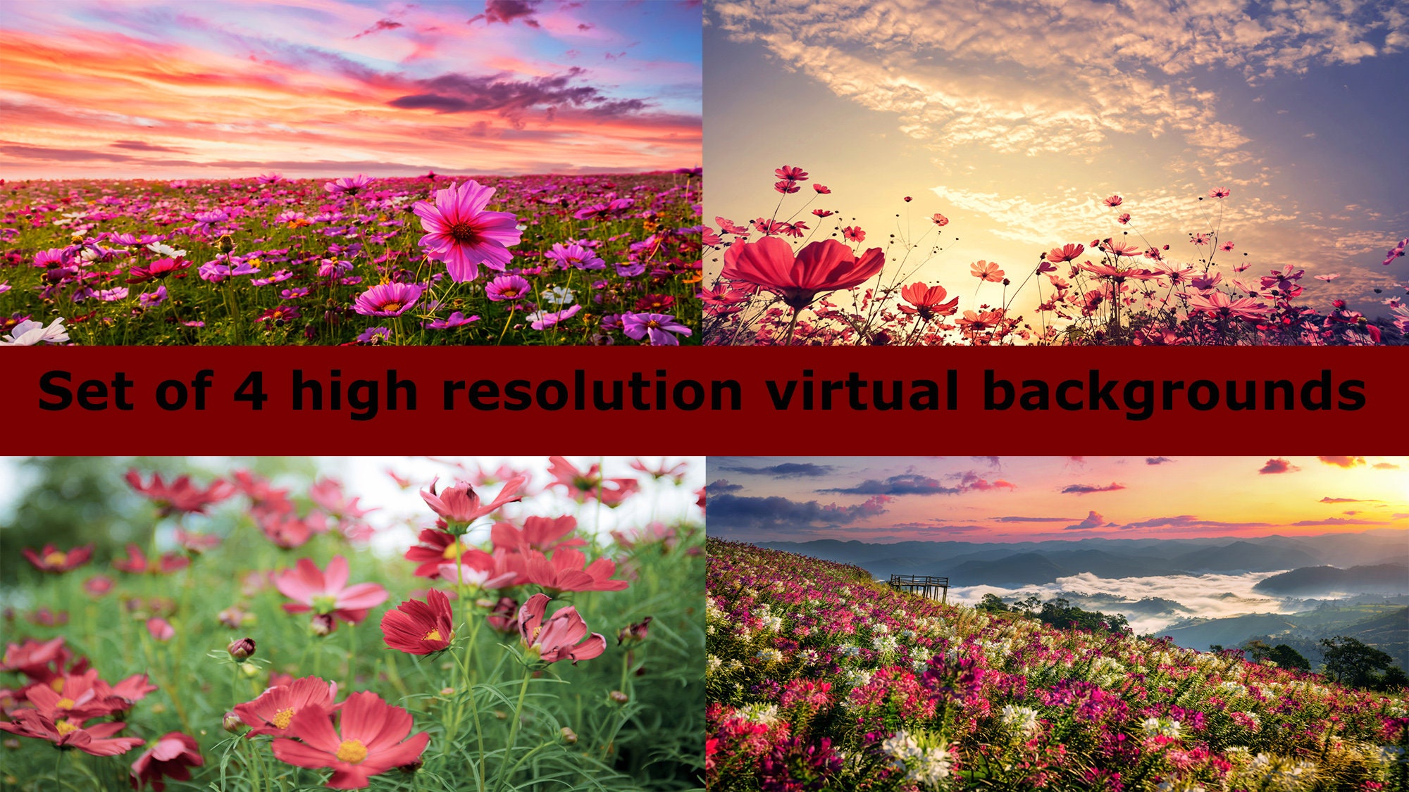 Set of 4 Beautiful Flower Field Zoom Background Virtual Etsy