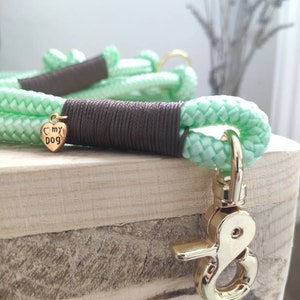 Rope Dog Leash Collar Set in Mint with Brown | SET PEPPERMINT