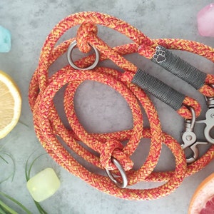 Tau dog leash collar set in orange-yellow with grey | SET HOT SUMMER