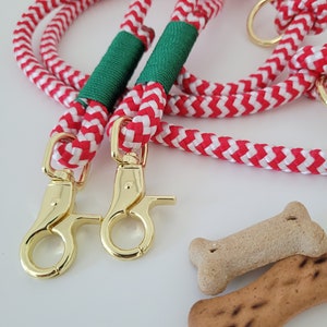 Può includere: Due guinzagli per cani in corda rossa e bianca con accenti verdi e clip dorati. I guinzagli sono intrecciati e le clip sono chiuse. Due biscotti per cani sono sullo sfondo.