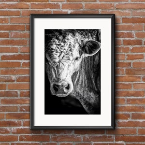 Black and White Photography Bull Close-Up Home Office Wall Art Modern Farm House Chic Decor, Birthday Christmas Gift for Men or Women