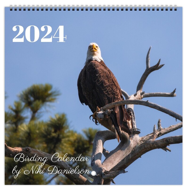 Birding 2024 Wall Calendar 8.5x8.5 - Etsy