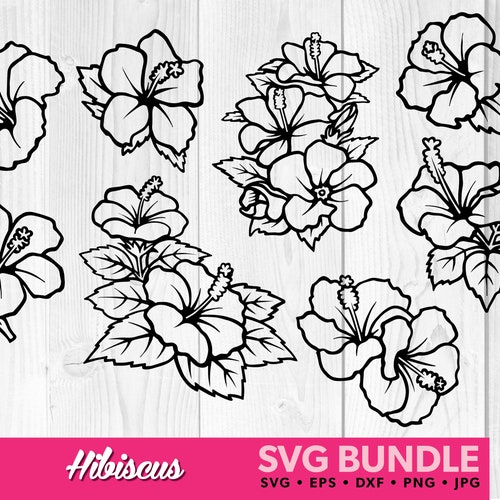 11 Hibiscus Flower Svg Cut File Template - Etsy India