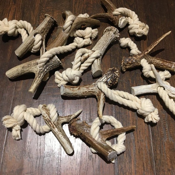 Deer Antler Dog Chew, Small