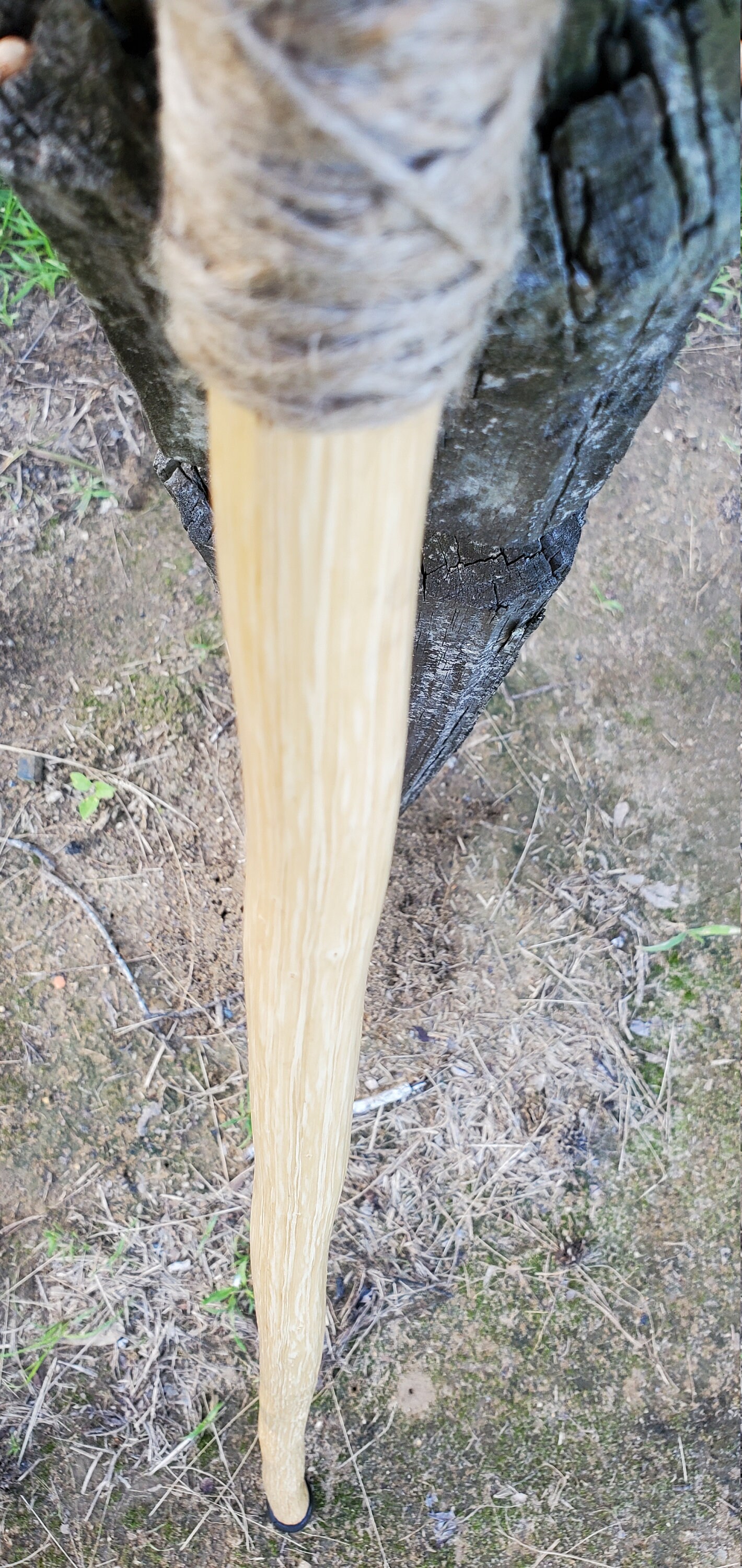 Shagbark Hickory Walking Stick. 47 Inches Etsy