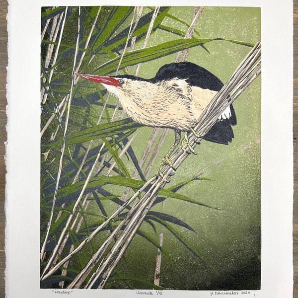 Woudaap Original Linocut (Little Bittern)