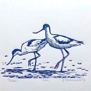 Oryginalny linoryt Avocets („Kluten”)