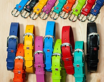 May include: A set of 10 colourful leather dog collars with silver buckles. The collars are arranged in a semi-circle on a wooden surface.