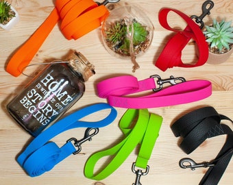 May include: Assortment of colorful dog leashes with metal clips. The leashes are orange, red, pink, green, and black. The text "Home is where our story begins" is visible on a clear glass jar.