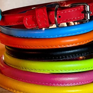May include: A collection of brightly coloured dog collars in red, blue, orange, black, green, pink, and yellow. A single turquoise collar is nearby. The collars are leather with silver buckles. A lantern is in the background.