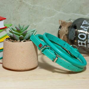 May include: A teal leather pet collar featuring a silver metal buckle, a D-ring for leash attachment, and a small red rectangular tag. The collar has visible stitching along the edges and is coiled in a circular shape on a wooden surface.