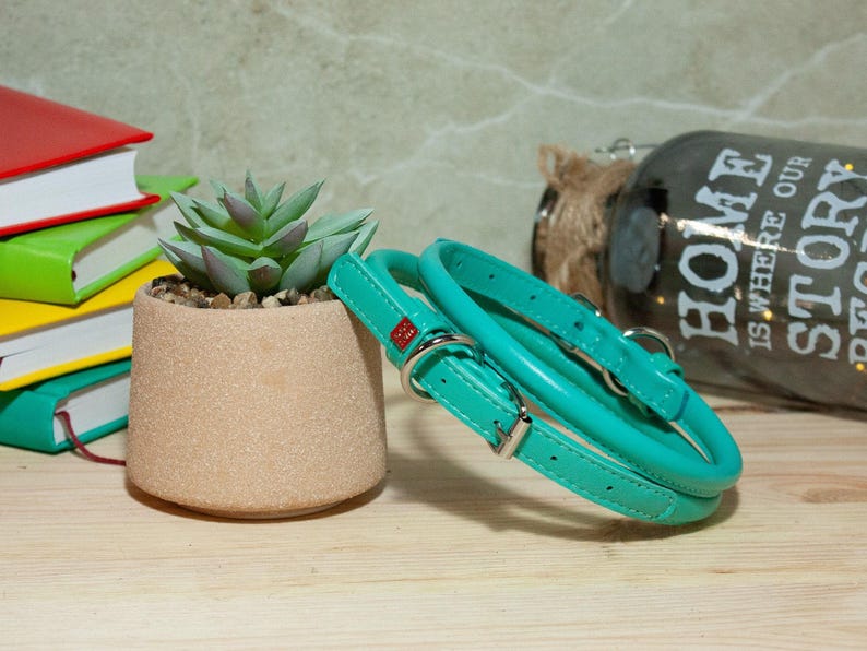 May include: A teal leather pet collar featuring a silver metal buckle, a D-ring for leash attachment, and a small red rectangular tag. The collar has visible stitching along the edges and is coiled in a circular shape on a wooden surface.
