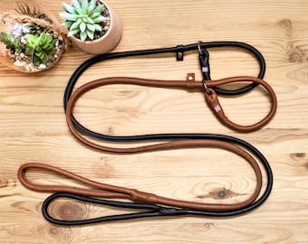May include: Two dog leashes, one black and one brown, are displayed on a wooden surface. The leashes have a loop at one end and a clasp at the other. A small succulent plant in a pot and a terrarium are in the background.