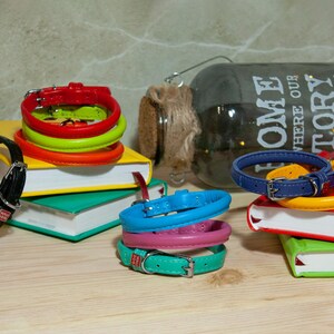 May include: A collection of colourful leather collars with metal buckles and small rectangular tags. The collars are available in red, lime green, orange, black, blue, pink, and turquoise, arranged in stacks on top of several stacked books.
