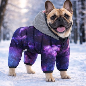 Hot Dog Jumpsuits, Bright Modern dog Jumpsuits, Warm jumpsuit with reflective hood, Jumpsuit Clothes For Small and Large Dogs, Nasa Jumpsuit