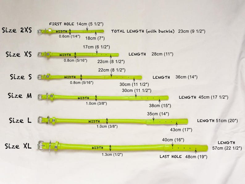 May include: Six neon yellow collars in sizes 2XS to XL, each featuring a metal buckle and D-ring. The image includes text labels for each size, indicating widths from 0.6 cm to 1.3 cm and total lengths ranging from 23 cm to 57 cm for each item.
