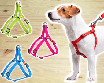 neon dog harness