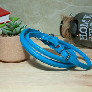 May include: A bright blue rolled leather collar featuring a silver-toned metal buckle, a D-ring for attachment, and a small red rectangular tag detail. The collar is coiled in a circular shape, showcasing its smooth texture and rounded design.