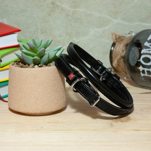 May include: A black leather pet collar featuring a rounded, padded design with a silver-toned metal buckle and D-ring. A small rectangular red tag with white text is attached to the collar, which is positioned next to a small succulent plant.