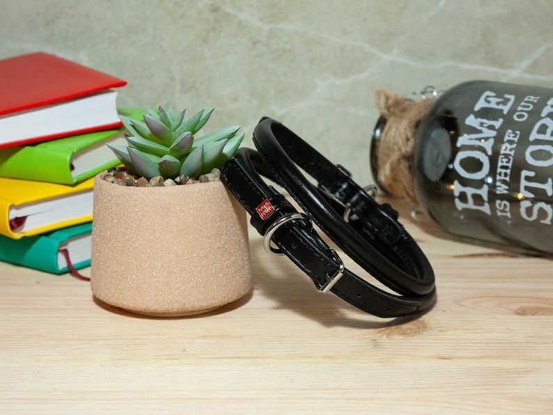 May include: A black leather pet collar featuring a rounded, padded design with a silver-toned metal buckle and D-ring. A small rectangular red tag with white text is attached to the collar, which is positioned next to a small succulent plant.