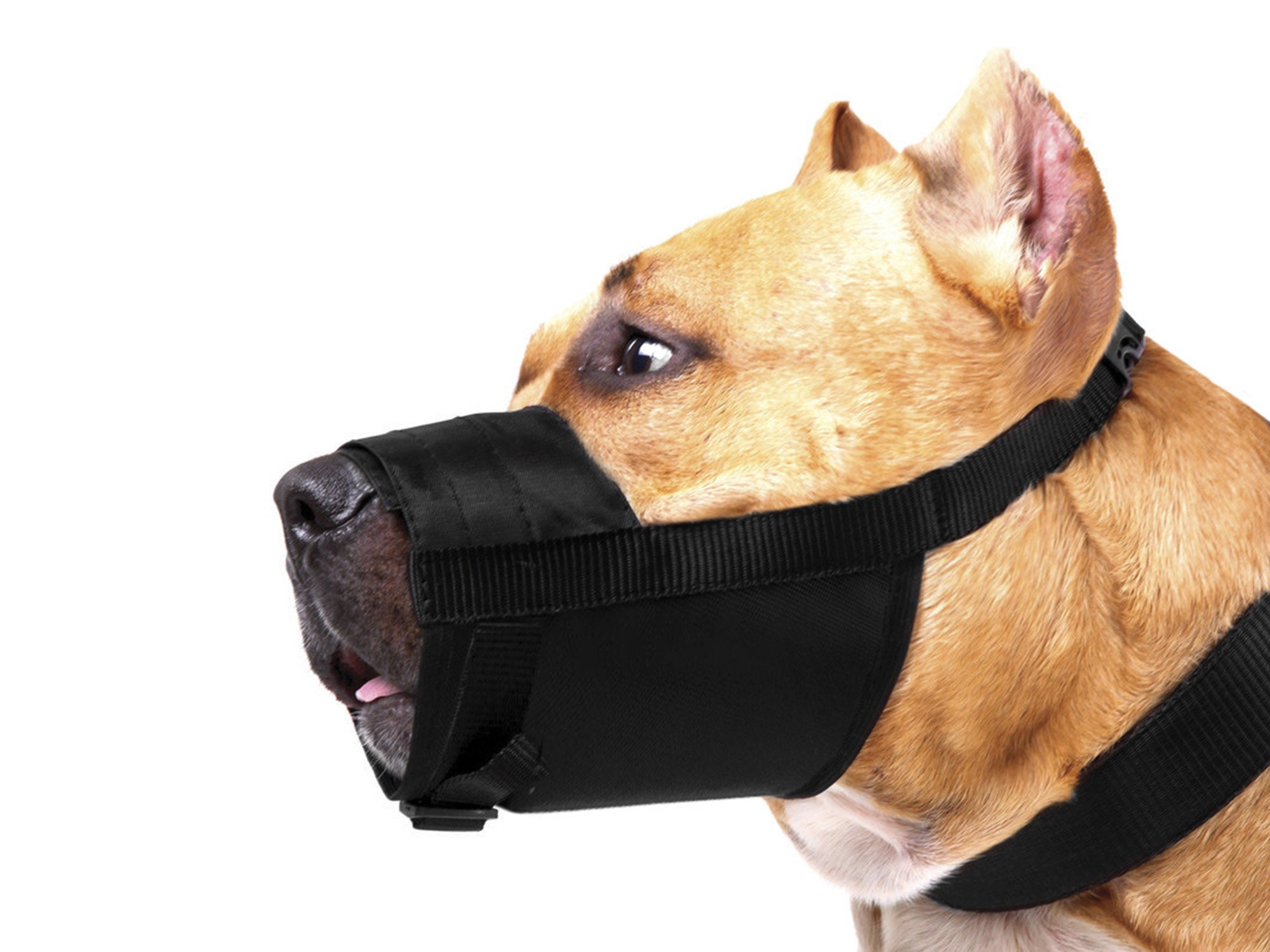 Muselière Pour Chien – Lot De 2, Tailles S/L – Nylon Respirant, Réglable – Pour Petit/moyen Chien, Visites Vétérinaire, Promenades