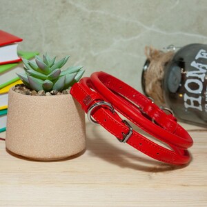May include: A bright red leather pet collar featuring a smooth finish, a silver-toned metal buckle, and a matching D-ring for lead attachment. The collar is constructed with a rounded, tubular design and includes a small rectangular metal tag.