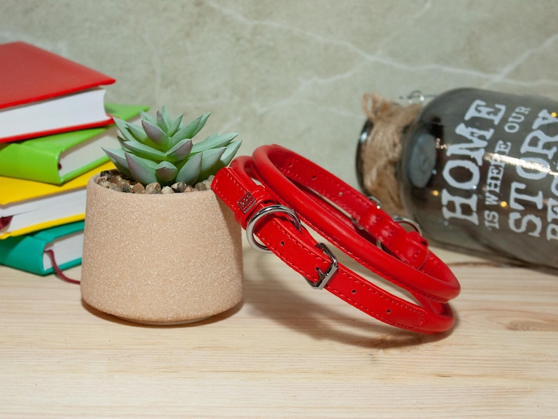 May include: A bright red leather pet collar featuring a smooth finish, a silver-toned metal buckle, and a matching D-ring for lead attachment. The collar is constructed with a rounded, tubular design and includes a small rectangular metal tag.