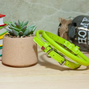 May include: A bright lime green rolled leather dog collar featuring a silver metal buckle, a D-ring for leash attachment, and a small red rectangular tag with white text. The collar is coiled and rests on a light-coloured wooden surface.