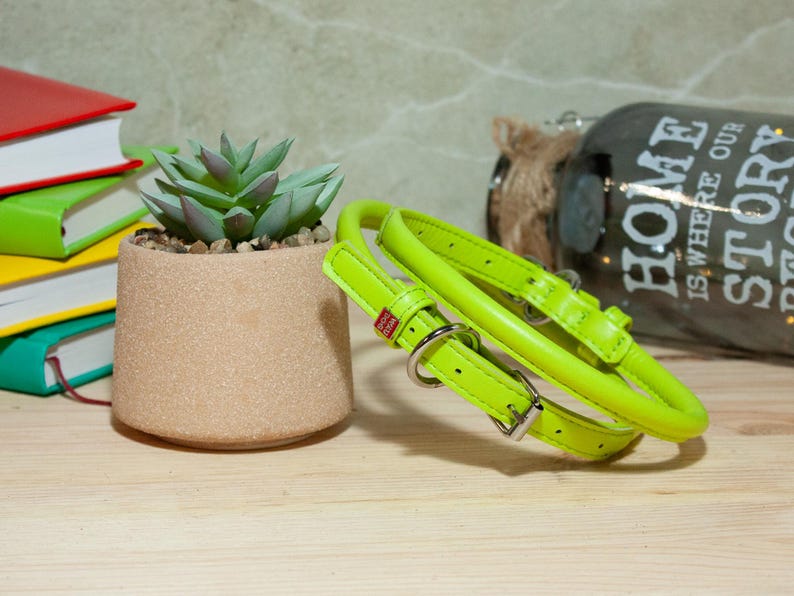 May include: A bright lime green rolled leather dog collar featuring a silver metal buckle, a D-ring for leash attachment, and a small red rectangular tag with white text. The collar is coiled and rests on a light-coloured wooden surface.