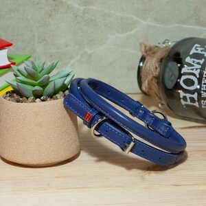 May include: A navy blue rolled leather pet collar featuring a silver-toned metal buckle, a D-ring for leash attachment, and a small red rectangular tag. The collar is coiled and positioned next to a small succulent in a tan pot.