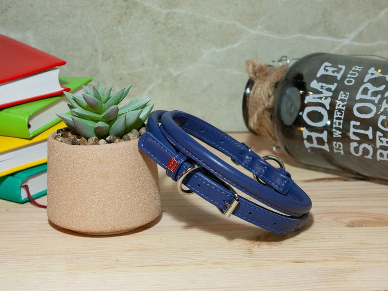 May include: A navy blue rolled leather pet collar featuring a silver-toned metal buckle, a D-ring for leash attachment, and a small red rectangular tag. The collar is coiled and positioned next to a small succulent in a tan pot.