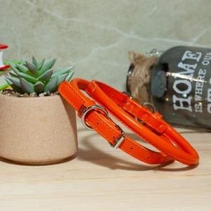 May include: A bright orange pet collar featuring a smooth, rounded leather-like texture, a silver-toned metal buckle, and a matching D-ring for lead attachment. The collar is constructed with visible stitching along the edges and a secure adjustment mechanism.