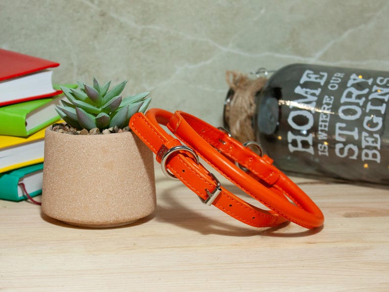 May include: A bright orange pet collar featuring a smooth, rounded leather-like texture, a silver-toned metal buckle, and a matching D-ring for lead attachment. The collar is constructed with visible stitching along the edges and a secure adjustment mechanism.