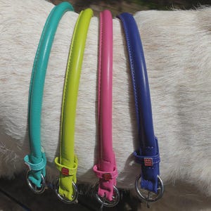 May include: Four rounded dog collars in turquoise, lime green, pink, and purple. Each collar features a silver-toned metal D-ring, a matching loop, and a small square red tag with white text that reads dog collar, attached to the strap.