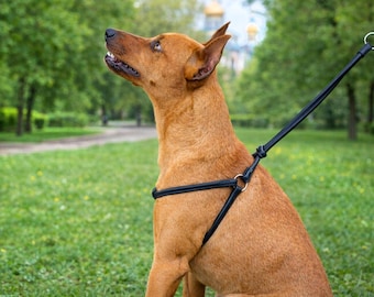 Handmade Round Leather Dog Harness with Matching Leash: Soft, Comfortable Fit