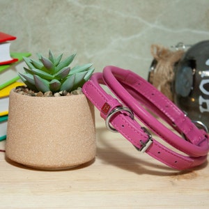 May include: A bright pink rolled leather collar featuring a silver-toned metal buckle, a D-ring for lead attachment, and a small rectangular metal tag. The collar is constructed with a rounded, tubular design and includes multiple adjustment holes.