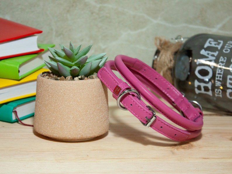 May include: A bright pink rolled leather collar featuring a silver-toned metal buckle, a D-ring for lead attachment, and a small rectangular metal tag. The collar is constructed with a rounded, tubular design and includes multiple adjustment holes.