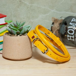 May include: A bright yellow pet collar featuring a smooth, padded design with silver-toned metal hardware, including a buckle and a D-ring for lead attachment, along with a small red rectangular brand tag attached to the strap.